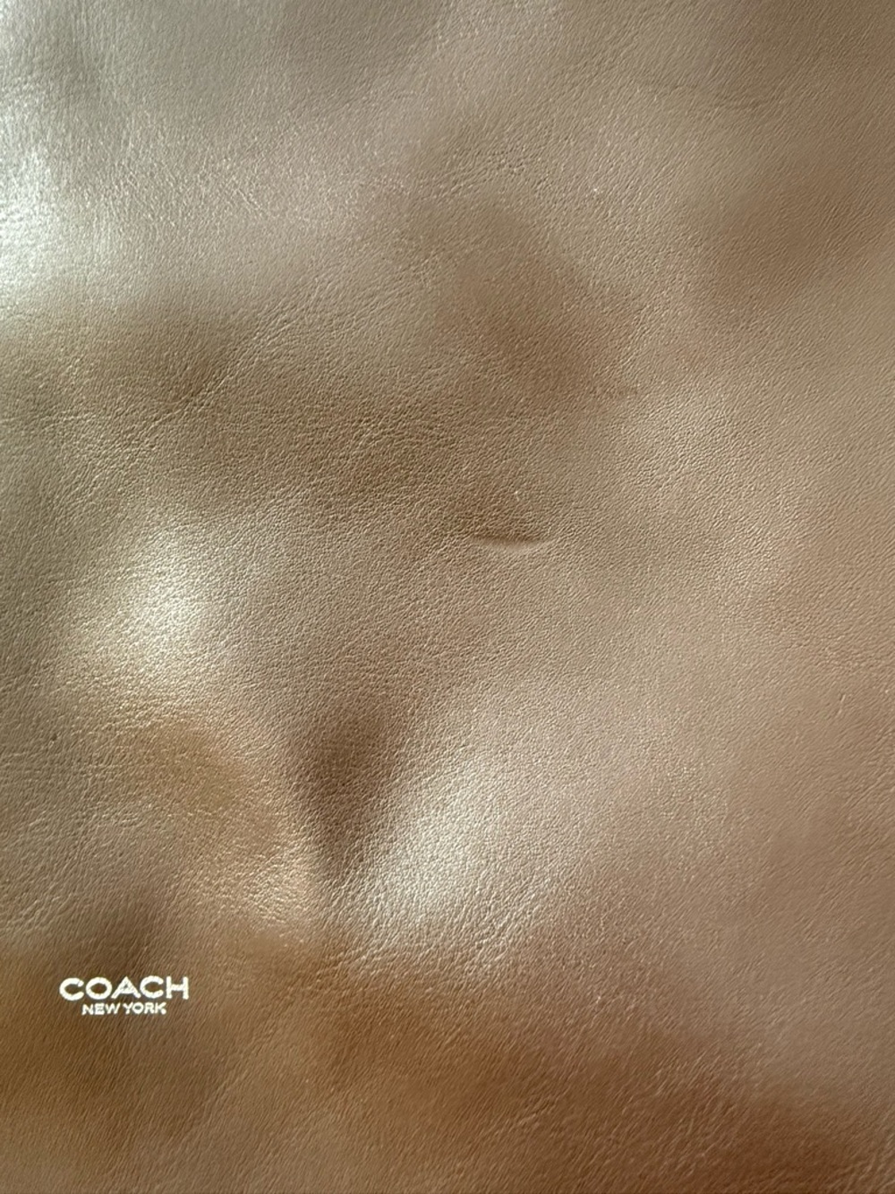 Coach Mott Messenger Bag - Picture 4 of 5